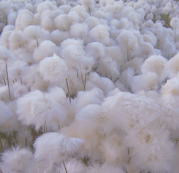 Мое детство покрывается большим слоем пыли. Мое детство покрывается большим слоем пыли.