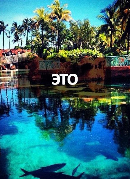 И так давайте мы сделаем фото отчет лета? 01 И так давайте мы сделаем фото отчет лета? 01