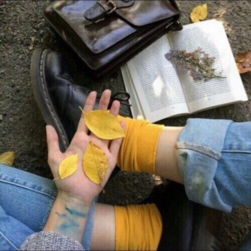 Story_полезности. ? 10. 01 Story_полезности. ? 10. 01