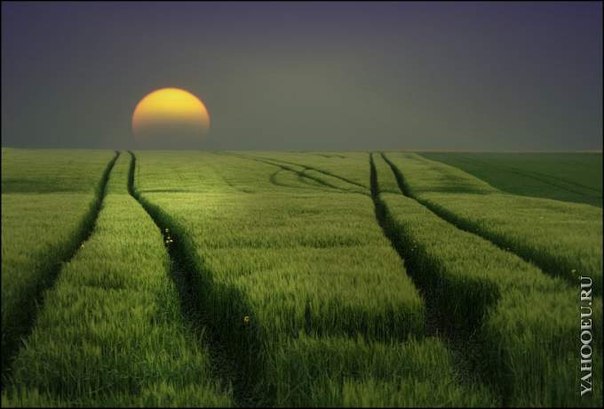 Снимай все декорации. Профессор ждал своих студентов в аудитории, где должно было пройти занятие.