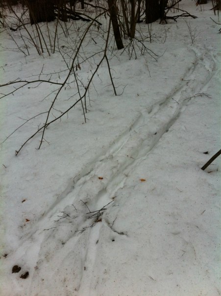 Всем привет. Меня зовут Катерина, из Москвы. 05 Всем привет. Меня зовут Катерина, из Москвы. 05