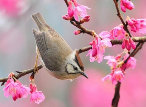 Идеальный весенний макияж должен быть таким же, как и сама природа в этот период - легким и свежим. 01