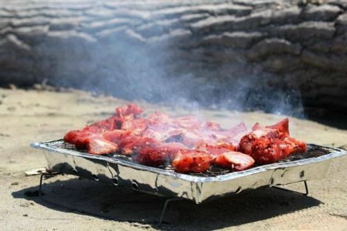 В Госдуме предложили запретить одноразовые мангалы для шашлыка.

