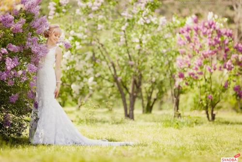 Идеи и образы сирень! 06