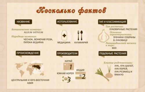 Чеснок - польза для здоровья. 03