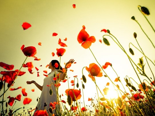 Жизнь такая интересная …. Жизнь такая интересная ….