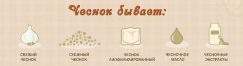 Чеснок - польза для здоровья. 04
