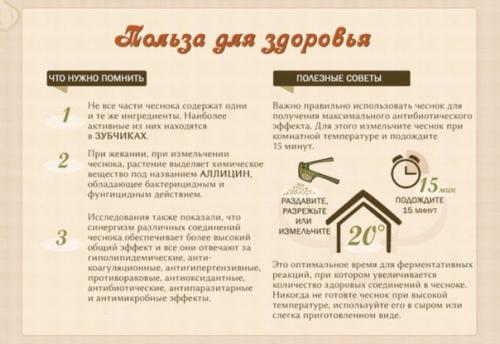 Чеснок - польза для здоровья. 01