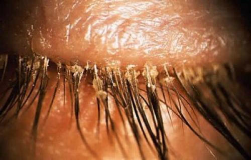 Сегодня речь на очень важную и актуальную тему пойдет. 01 Сегодня речь на очень важную и актуальную тему пойдет. 01