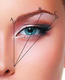 Форма бровей. Форму бровей можно изменить, применив более густой общий тон, смешанный с пудрой. 01