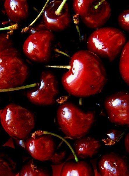 Что нужно сделать летом. _. 02 Что нужно сделать летом. _. 02