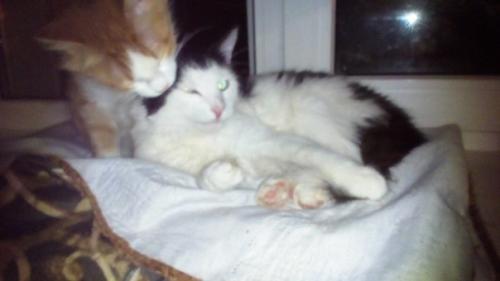 Мы готовимся. Вернее. 01