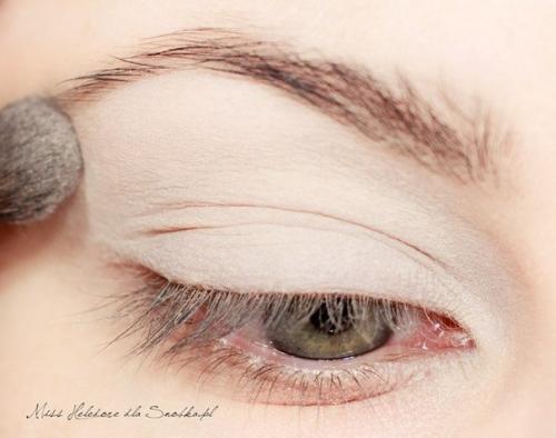 Обледенелая роза.  Секреты макияжа. 03