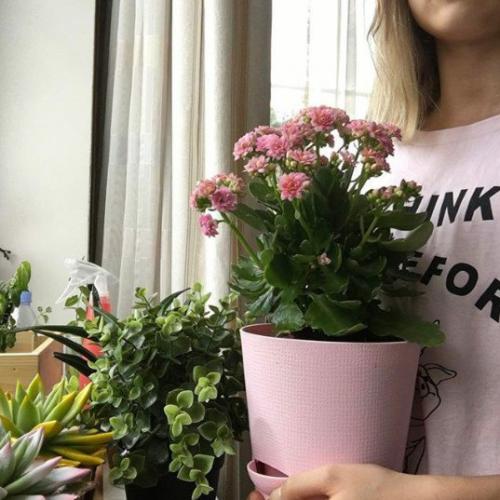 Укрепление ресниц?   Home_советы. 01