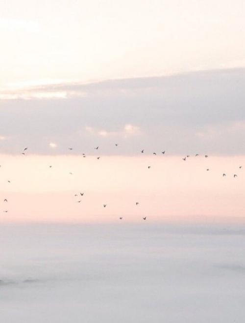 Кризисы женского развития. 01 Кризисы женского развития. 01