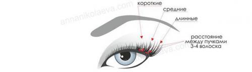 А вот и снова рубрика Стильная Жизнь. 02 А вот и снова рубрика Стильная Жизнь. 02