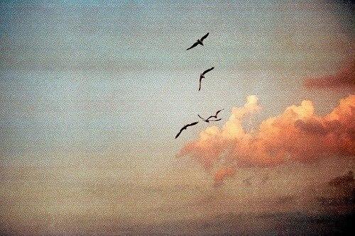 Конкурс_ ПЛРП. Forever_Alone. 01 Конкурс_ ПЛРП. Forever_Alone. 01