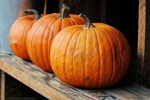 Дела на осень?  Фотоплан на осень? 03