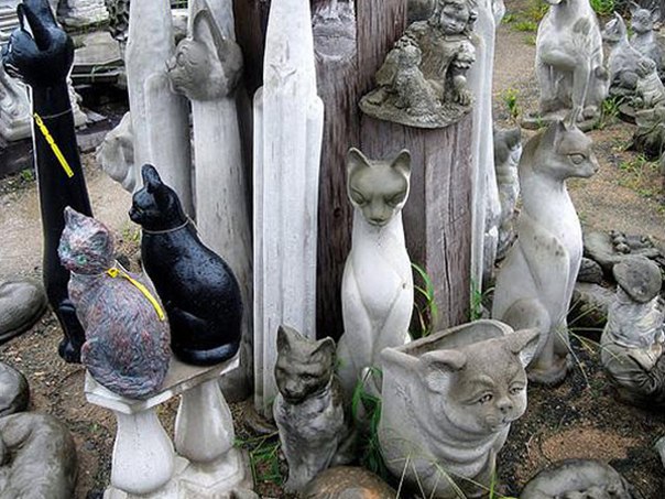 Кошки - хобби с любовью. Бридерство (разведение кошек). 07