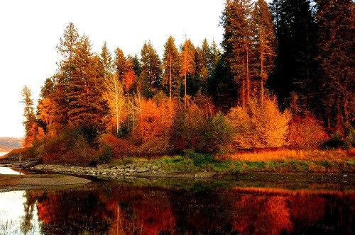 Дела на осень?  Фотоплан на осень? 02