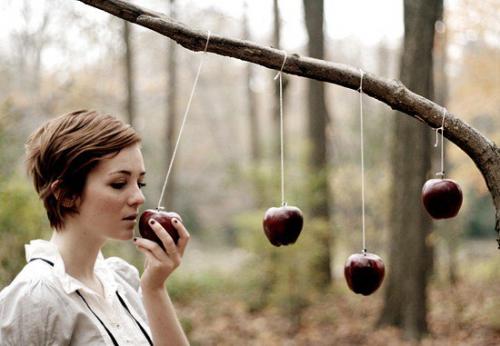 Требуются модели для красивой осенней фотосессии, которая будет проходить в дендрологичском парке (справа от зоопарка), 18. 01