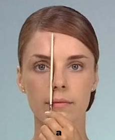 Брови.  В первую очередь посмотрите на состояние ваших бровей, не требуют ли они коррекции. 01