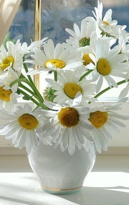 Уход ЗА Лицом. *Чистка лица - домашняя маска с йогуртом и апельсином. 03 Уход ЗА Лицом. *Чистка лица - домашняя маска с йогуртом и апельсином. 03