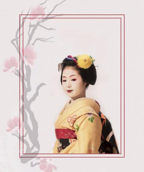 Составляя программу путешествия по Японии, нам предложили Ужин с Гейшей. 05