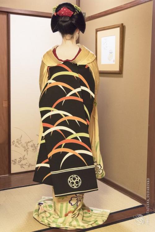 Составляя программу путешествия по Японии, нам предложили Ужин с Гейшей. 03