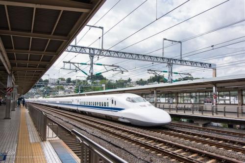 Составляя программу путешествия по Японии, нам предложили Ужин с Гейшей. 01