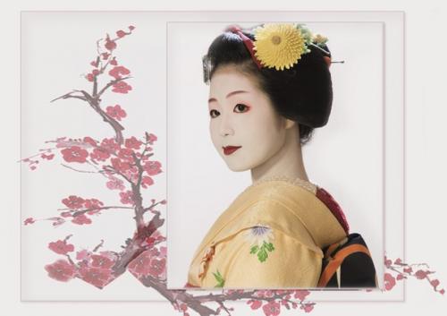 Составляя программу путешествия по Японии, нам предложили Ужин с Гейшей. 04