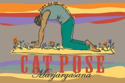 Йога.  Асаны для начинающих в картинках. 04