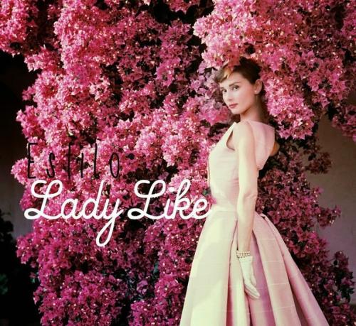 Их красота - нечто большее, чем просто приятная внешность. 01 Их красота - нечто большее, чем просто приятная внешность. 01