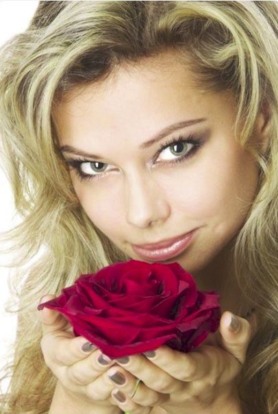 Роза цвета запекшейся крови.  … Серое туманное летнее утро….