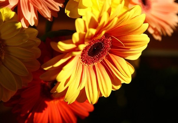 Ах, бросьте, бабоньки, твердить о возрасте.