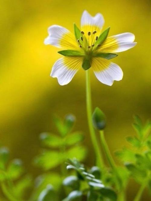 Красивым кажется все, на что смотришь с любовью! 02