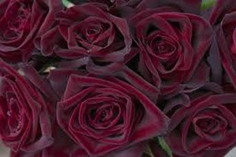 Тренд 2015 года: марсала. 02 Тренд 2015 года: марсала. 02