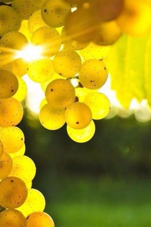 Красивым кажется все, на что смотришь с любовью! 04