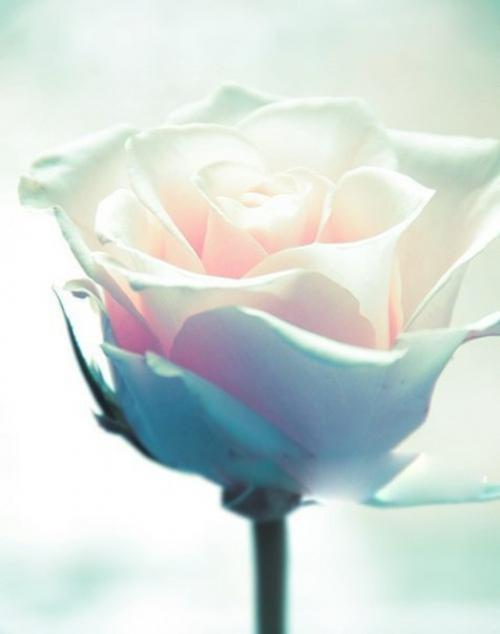 Как научиться краситься? 01 Как научиться краситься? 01