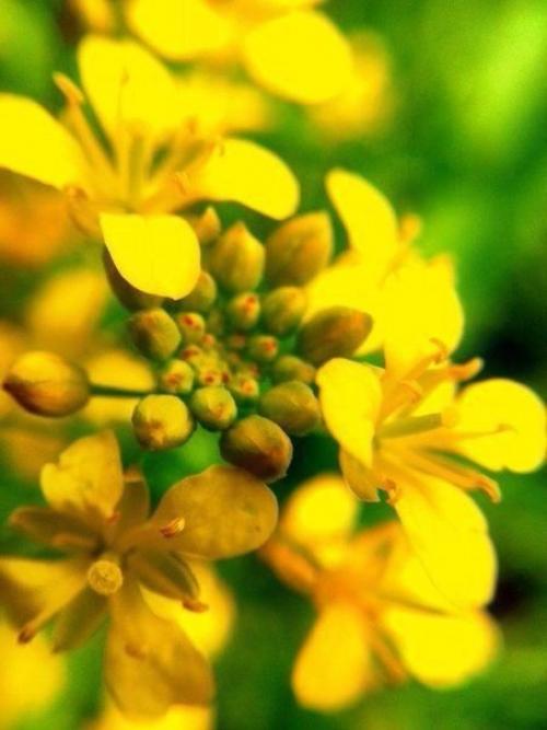 Красивым кажется все, на что смотришь с любовью! 03