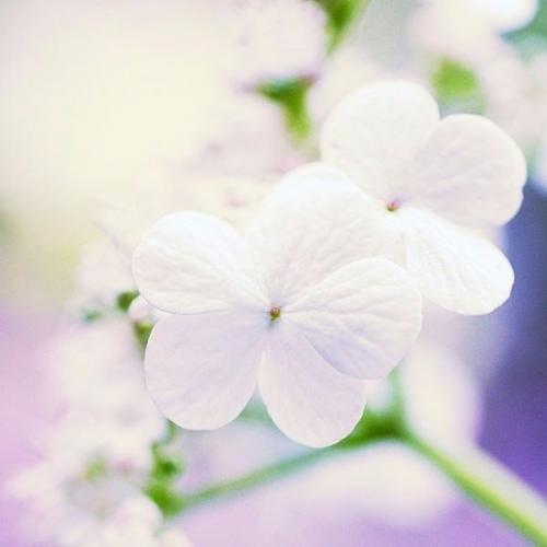 Как научиться краситься? 03 Как научиться краситься? 03