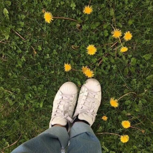 Автор: Chamomile?   ? 7. 03