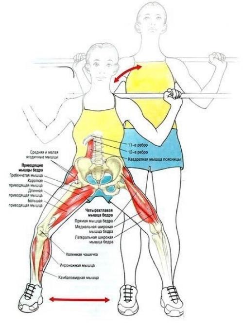 Упражнения для ягодиц и ног &. 03 Упражнения для ягодиц и ног &. 03