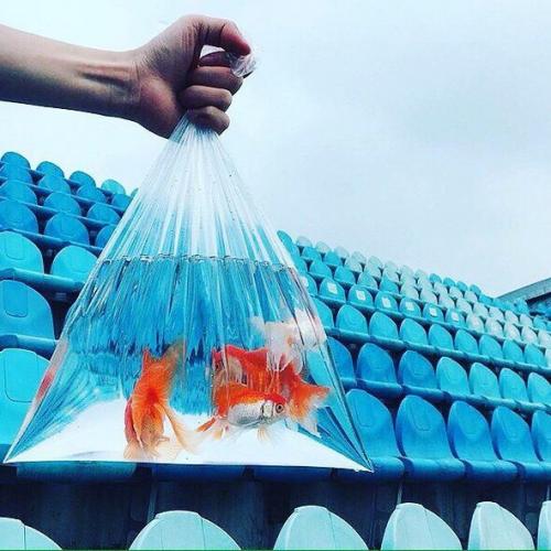 Как научиться красить глаза подводкой? 02 Как научиться красить глаза подводкой? 02