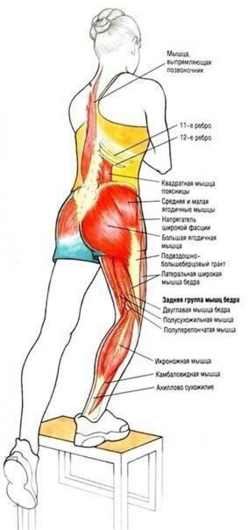 Упражнения для ягодиц и ног &. 06 Упражнения для ягодиц и ног &. 06