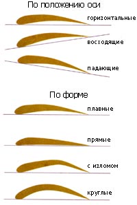 Красота – это, прежде всего, гармония. 01 Красота – это, прежде всего, гармония. 01
