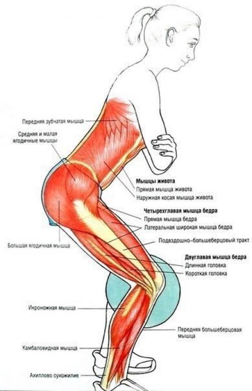 Упражнения для ягодиц и ног &. 04 Упражнения для ягодиц и ног &. 04