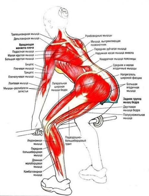 Упражнения для ягодиц и ног &. 07 Упражнения для ягодиц и ног &. 07
