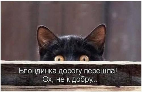 Всемирный день блондинок - 31 мая. 08 Всемирный день блондинок - 31 мая. 08