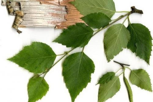 Мы очищаем организм и кожу! 01 Мы очищаем организм и кожу! 01